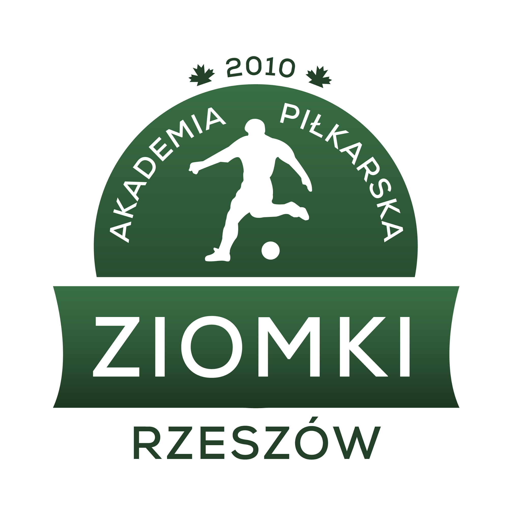 AP Ziomki/Zimowit Rzeszów